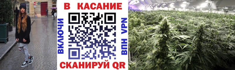 Виды наркотиков купить Старая Купавна КЕТАМИН  МЕФ  ГАШ 