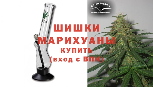 шишки Рославль