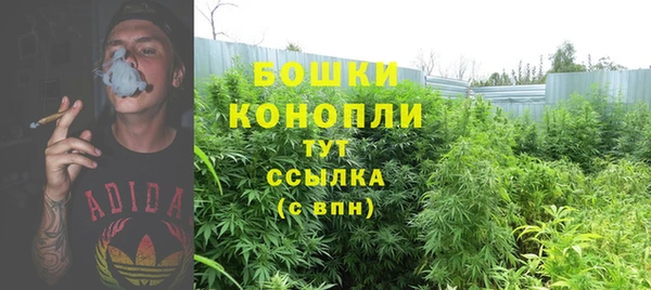 амф Нягань