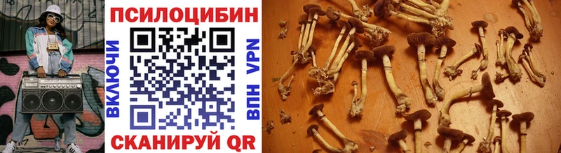 OMG как войти  Старая Купавна  Галлюциногенные грибы Psilocybe  darknet состав  даркнет сайт 