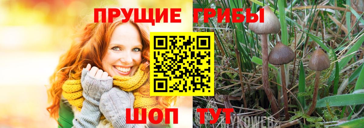 Галлюциногенные грибы Magic Shrooms Старая Купавна