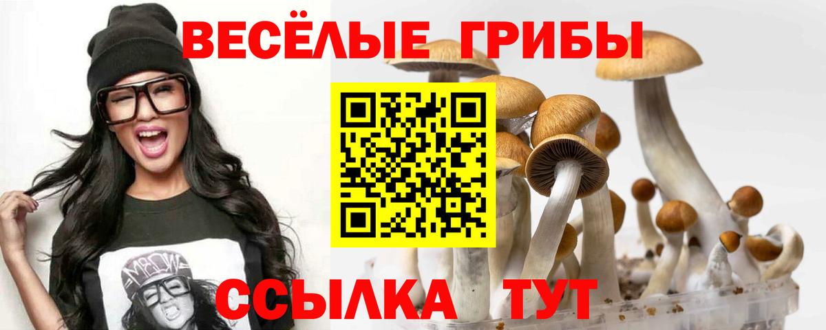 Псилоцибиновые грибы ЛСД  Псилоцибиновые грибы прущие грибы  Старая Купавна  Вход с VPN 